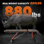 Panca pesi con grafica di un rinoceronte e testo "880 libbre" su sfondo scuro